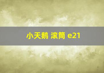 小天鹅 滚筒 e21